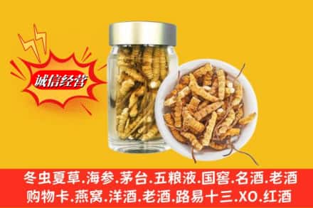 安宁市回收散虫草