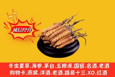 安宁市名酒回收冬虫夏草.jpg